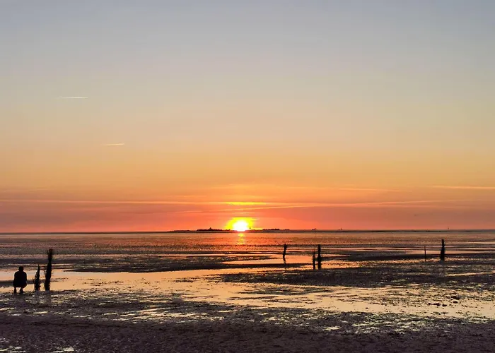 Haus-frauenpreis-wohnung-206 * 库克斯港